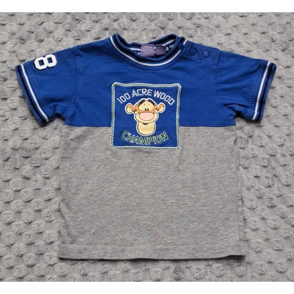 Disney Winnie the Pooh Tigger Shirt Boys 24 Months 100 Acre Wood Champion Y2K